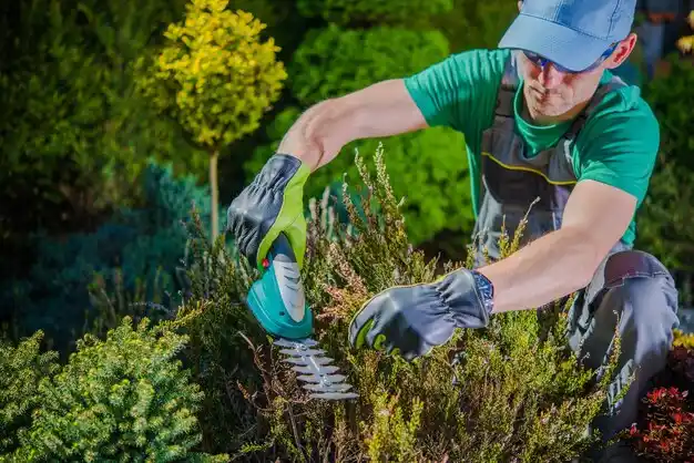 landscaping services Old Westbury